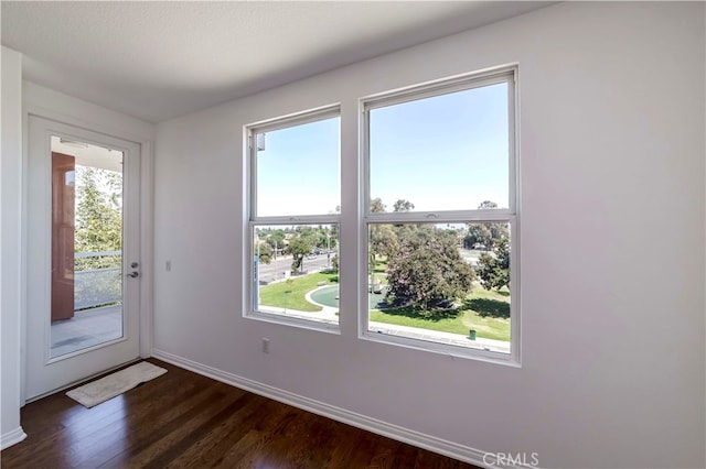 doorway with a healthy amount of sunlight and dark hardwood / wood-style floors