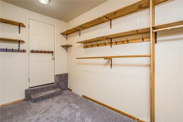 spacious closet with carpet flooring