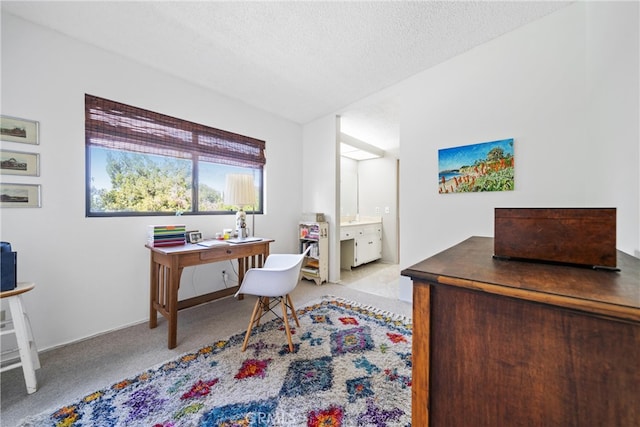 carpeted office featuring a textured ceiling