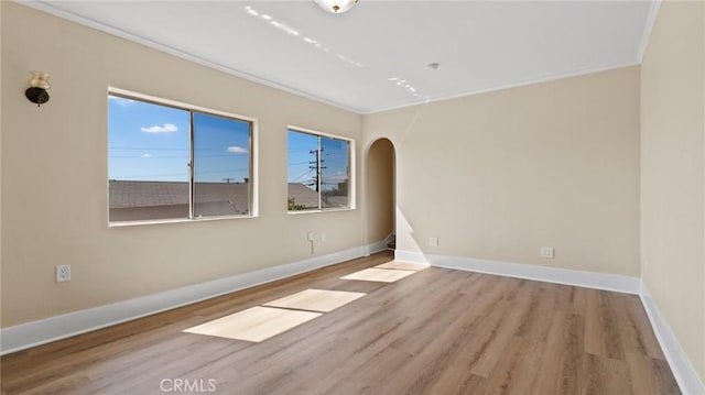 spare room featuring ornamental molding, light hardwood / wood-style flooring, and a healthy amount of sunlight