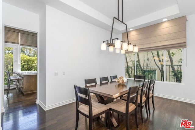 dining area with dark hardwood / wood-style flooring and a tray ceiling