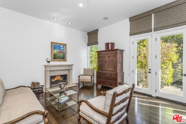 living area featuring a fireplace and dark hardwood / wood-style flooring