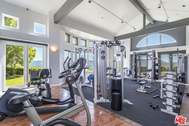 workout area featuring dark tile patterned flooring, rail lighting, and high vaulted ceiling