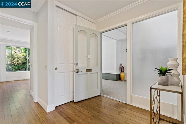 corridor featuring light hardwood / wood-style flooring and crown molding