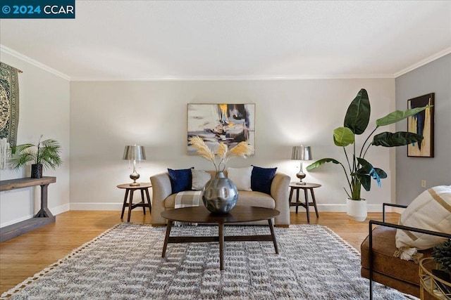 living room with crown molding and wood-type flooring