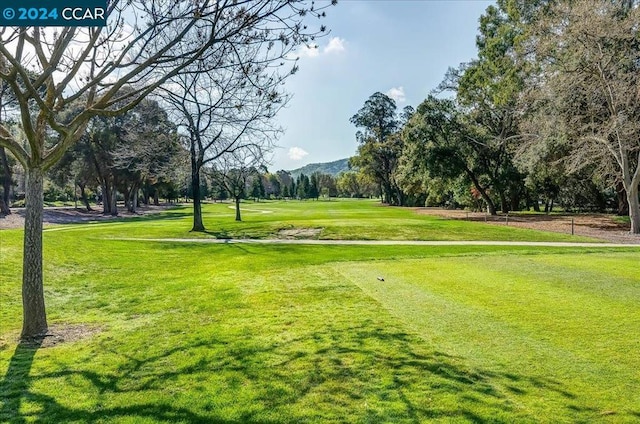 view of property's community featuring a lawn