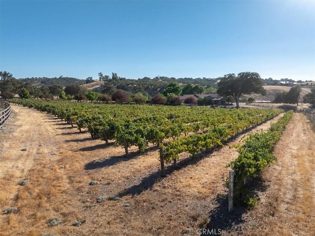 view of yard with a rural view