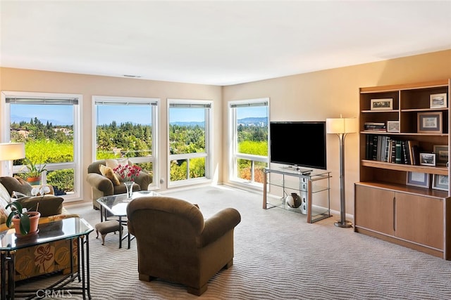 view of carpeted living room