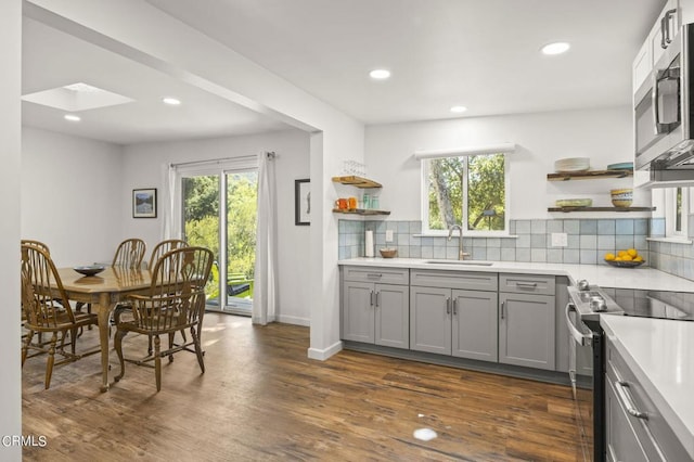 kitchen with dark hardwood / wood-style floors, sink, stainless steel appliances, and a skylight