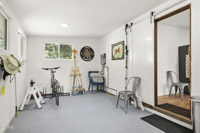 exercise area featuring a barn door