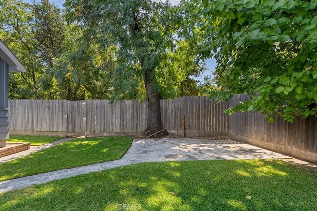 view of yard featuring a patio