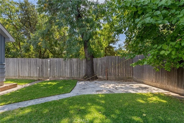 view of yard with a fenced backyard and a patio