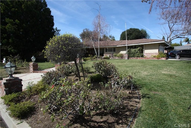 ranch-style home with a front lawn and stucco siding