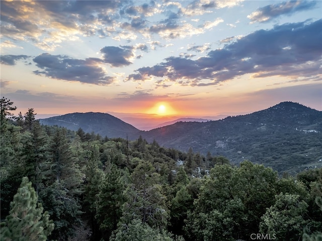 29901 Eagles Nest Dr, Idyllwild, CA 92549 - photo 5