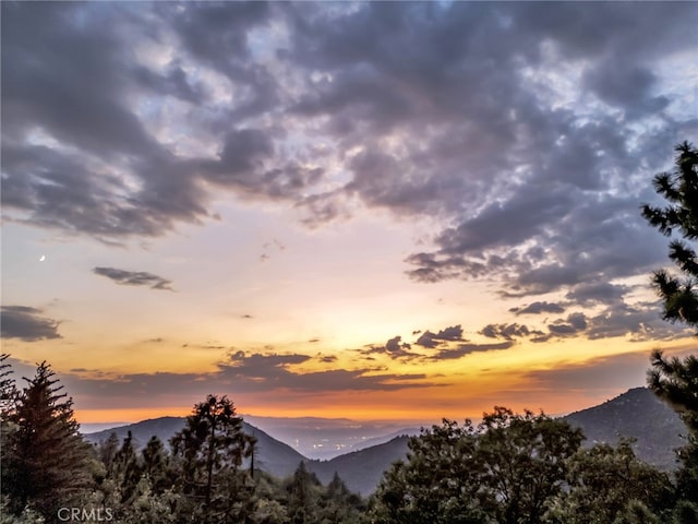 view of mountain feature