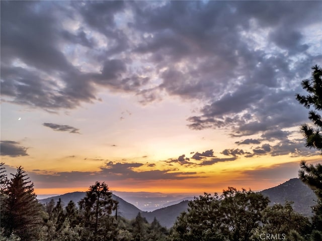 29901 Eagles Nest Dr, Idyllwild, CA 92549 - photo 8