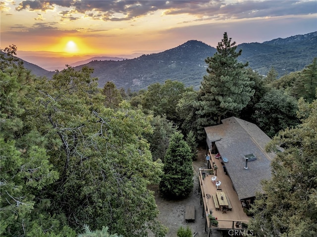 29901 Eagles Nest Dr, Idyllwild, CA 92549 - photo 16