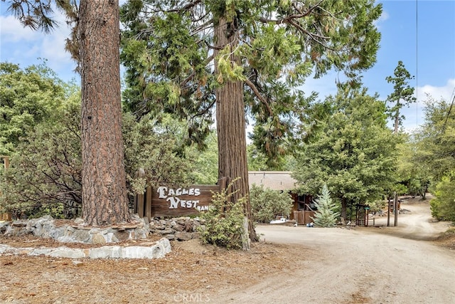 29901 Eagles Nest Dr, Idyllwild, CA 92549 - photo 19