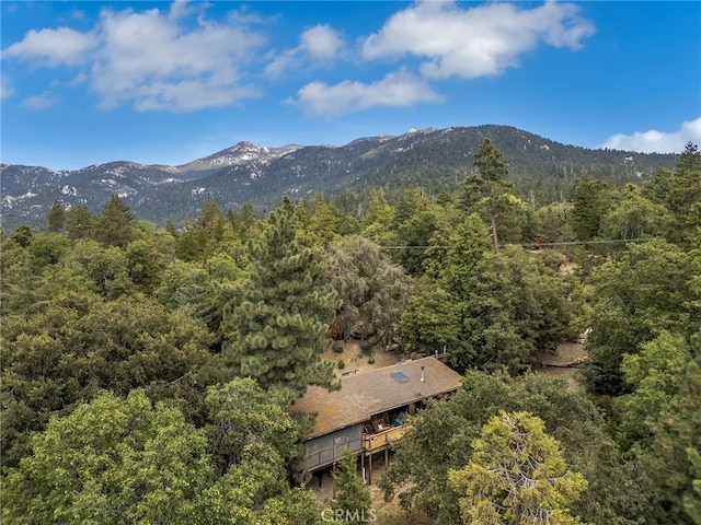 29901 Eagles Nest Dr, Idyllwild, CA 92549 - photo 15
