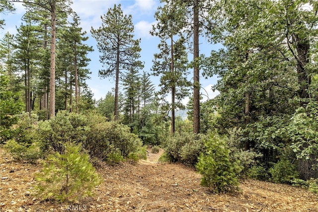 29901 Eagles Nest Dr, Idyllwild, CA 92549 - photo 53