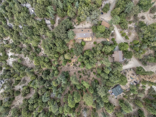 29901 Eagles Nest Dr, Idyllwild, CA 92549 - photo 65