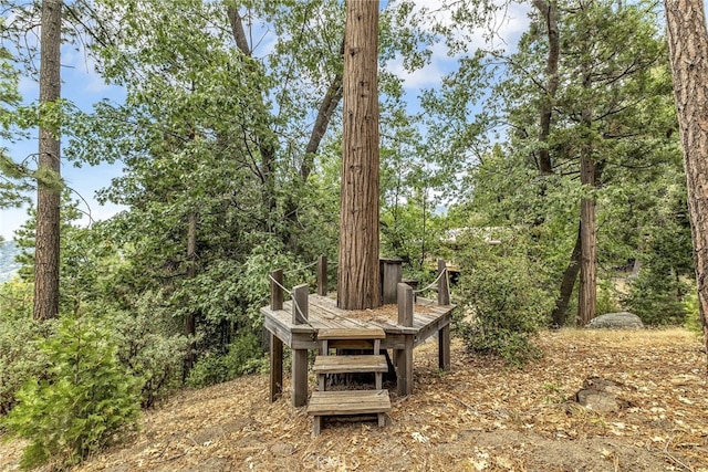 29901 Eagles Nest Dr, Idyllwild, CA 92549 - photo 52