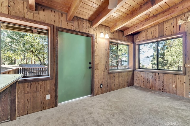 29901 Eagles Nest Dr, Idyllwild, CA 92549 - photo 60
