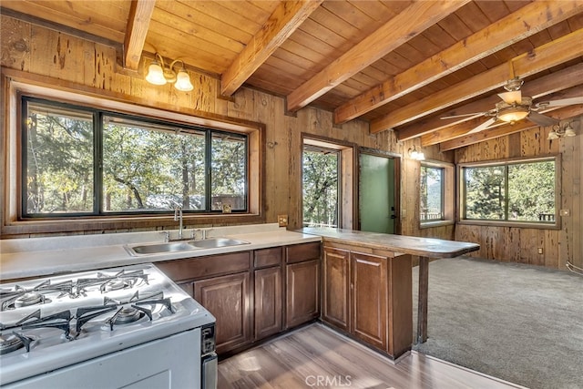 29901 Eagles Nest Dr, Idyllwild, CA 92549 - photo 61
