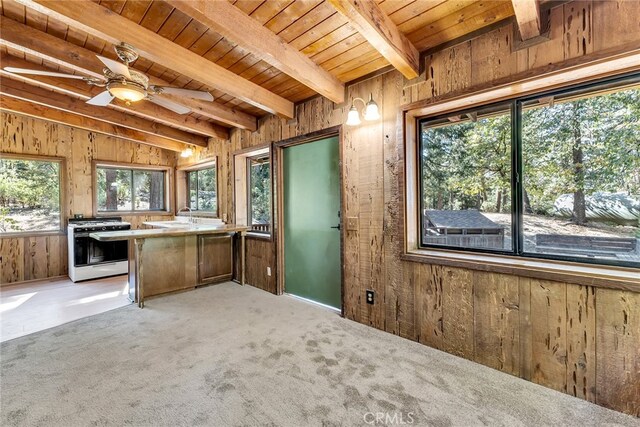 29901 Eagles Nest Dr, Idyllwild, CA 92549 - photo 58