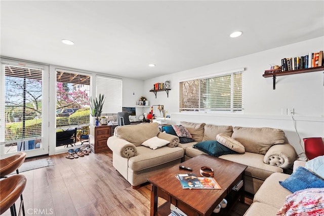 living room with light wood-type flooring and a healthy amount of sunlight