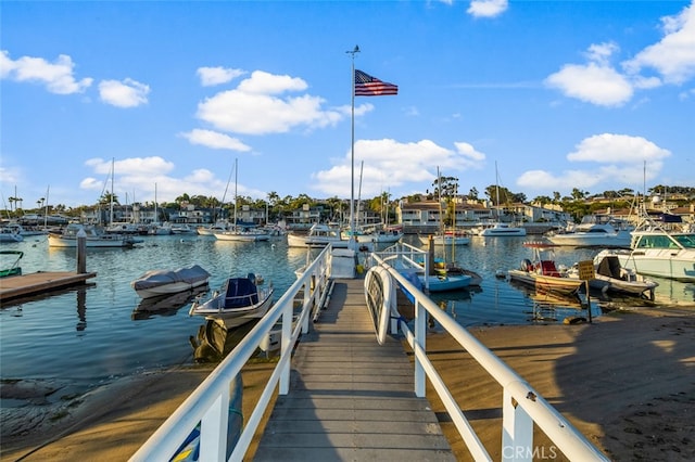 dock area with a water view