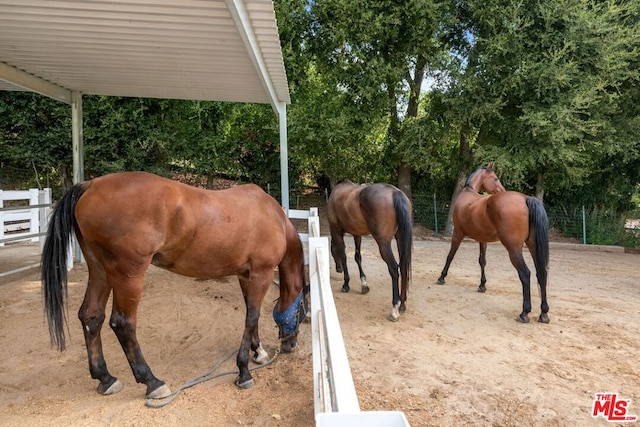 view of stable