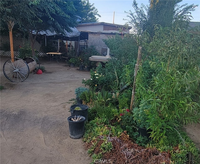 view of yard with a patio area