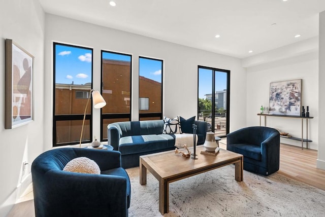 living room with hardwood / wood-style floors