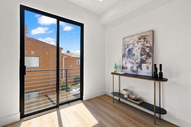 entryway featuring a healthy amount of sunlight and hardwood / wood-style flooring