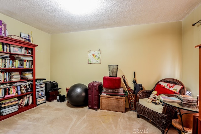 interior space featuring light colored carpet and a textured ceiling