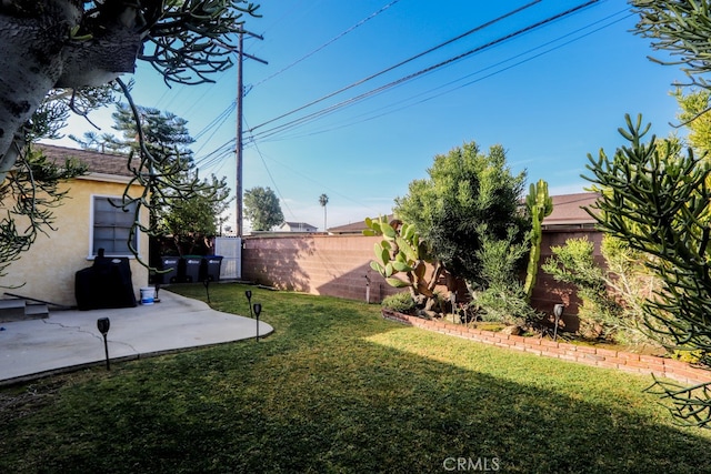 view of yard with a patio