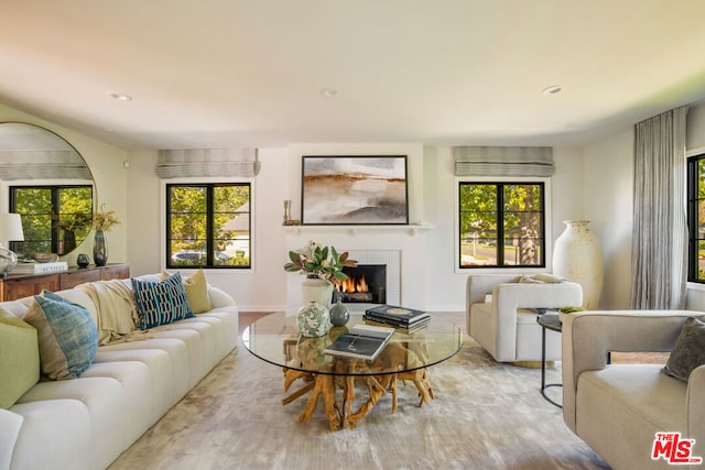 living room featuring a healthy amount of sunlight and light hardwood / wood-style floors