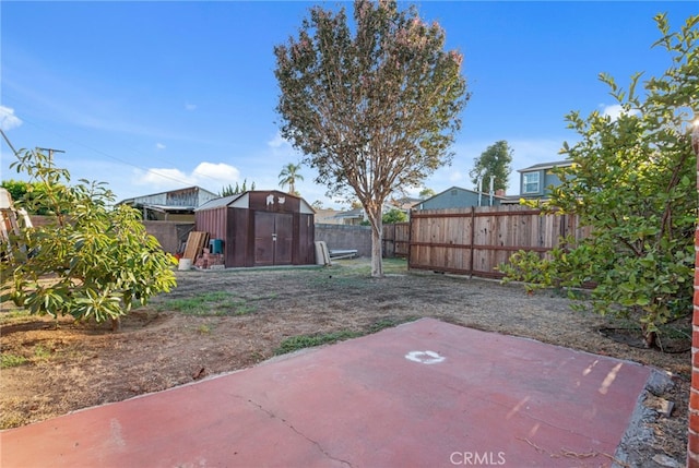 view of yard featuring a storage shed