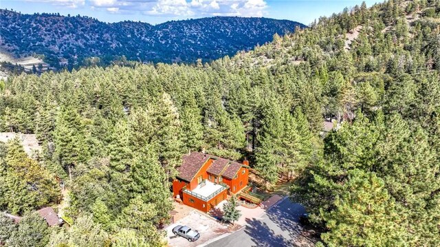 23109 Cardinal Rd, Wrightwood, CA 93563 - photo 48