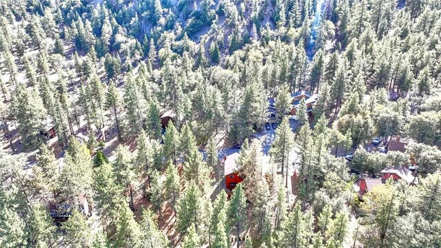 23109 Cardinal Rd, Wrightwood, CA 93563 - photo 47
