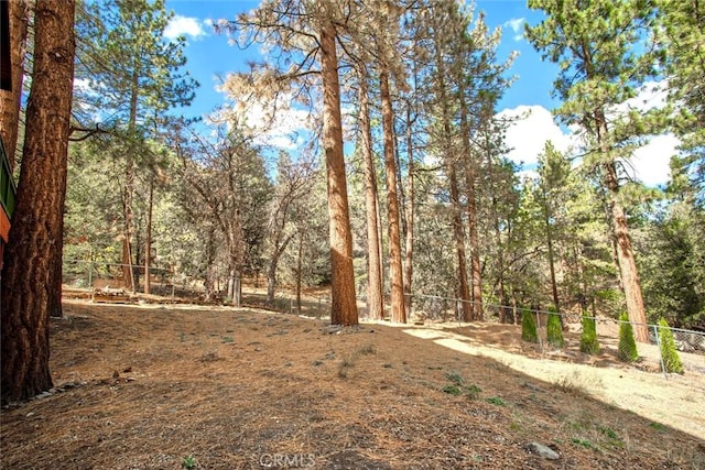 23109 Cardinal Rd, Wrightwood, CA 93563 - photo 40