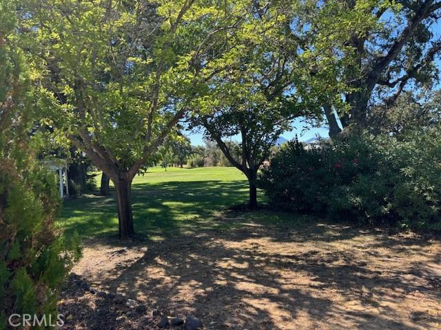 19189 Mountain Mdw N, Hidden Valley Lake, CA 95467 - view of yard