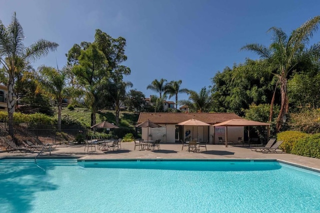 view of pool featuring a patio