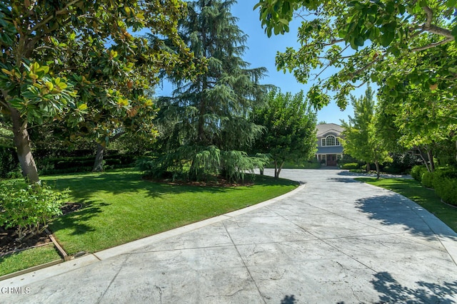 view of community featuring a yard