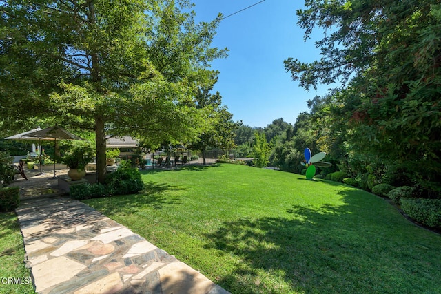 view of yard featuring a patio area