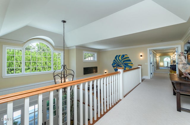 hallway with crown molding and carpet flooring