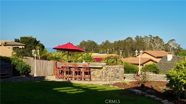 view of yard with a patio and a bar