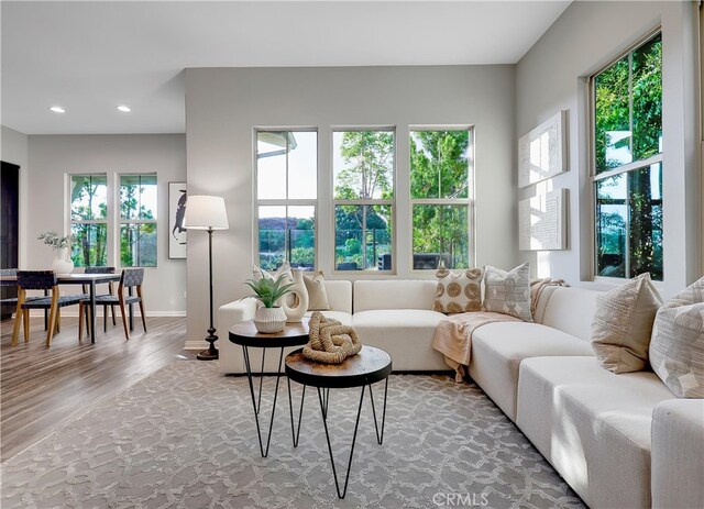 living room with wood-type flooring