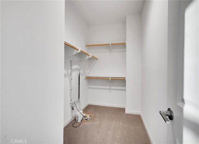 spacious closet featuring light colored carpet